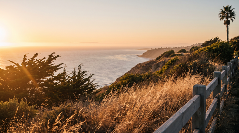 Pacific Drift inspiration